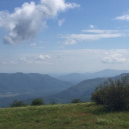 Blue Ridge ESOP